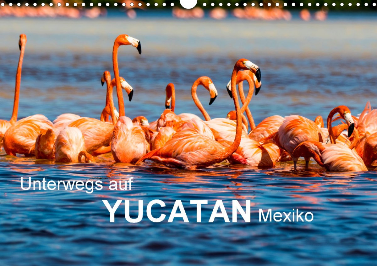 Unterwegs auf Yucatan Mexiko
